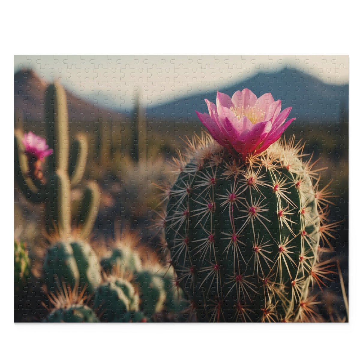 Flowering Cactus Nature Scene Puzzle (120, 252, or 500 Pieces)