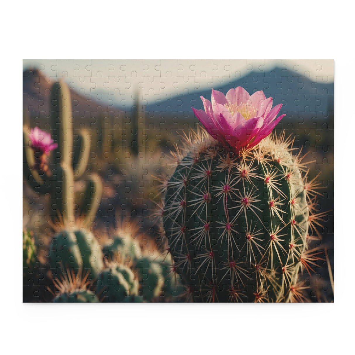 Flowering Cactus Nature Scene Puzzle (120, 252, or 500 Pieces)