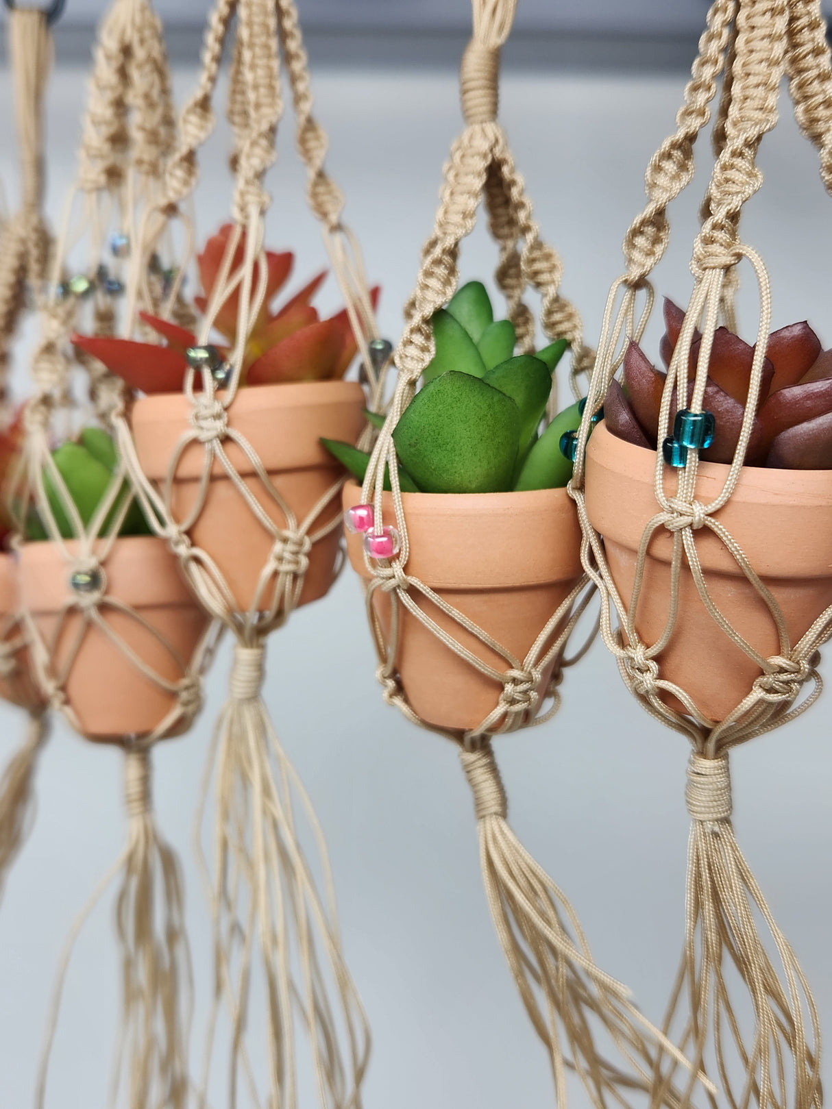 Fun Mini Macrame Potted Succulent Plant Hanging Ornament for Car Rearview Mirror